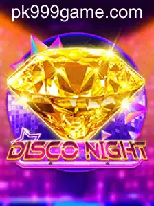DiscoNight